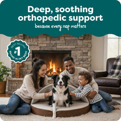 Base orthopédique dense de FurHaven offrant un soutien durable.