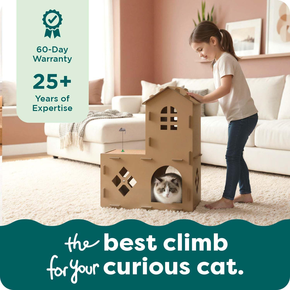 FurHaven: idéal pour plusieurs chats grâce à sa structure stable.