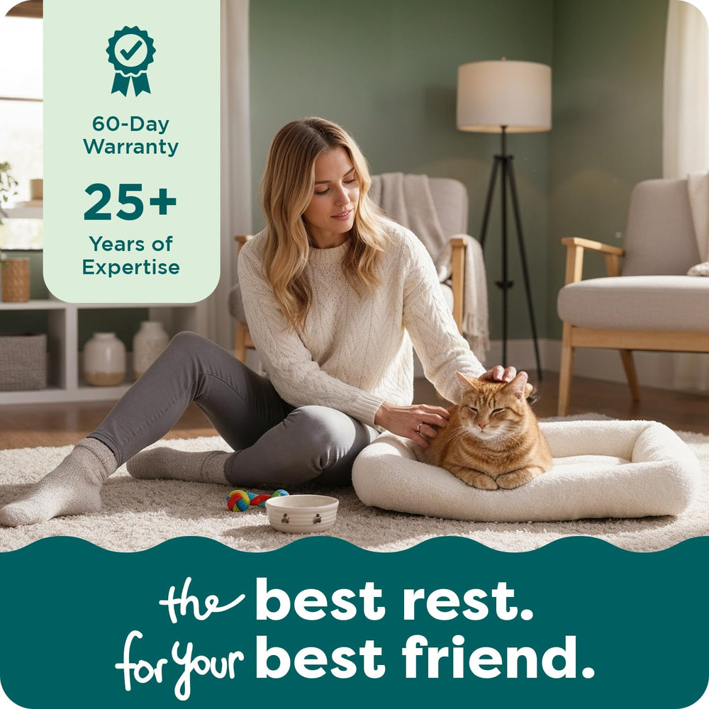 Confort tout-en-un Furhaven gris, option idéale pour chiens et chats