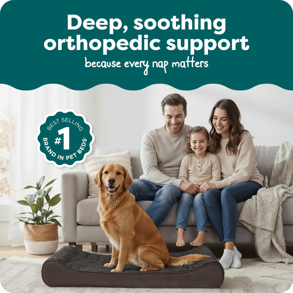 Mousse orthopédique solide FurHaven offrant un soutien ciblé