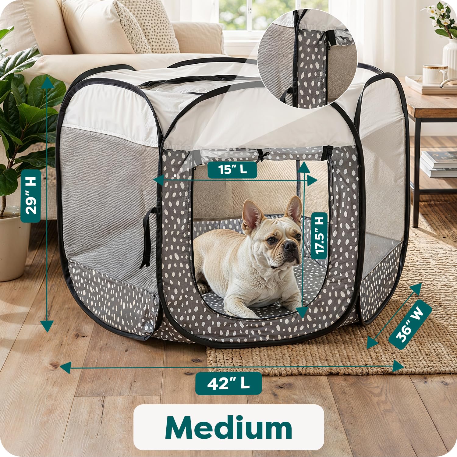 Fond amovible lavable FurHaven pour un nettoyage facilité