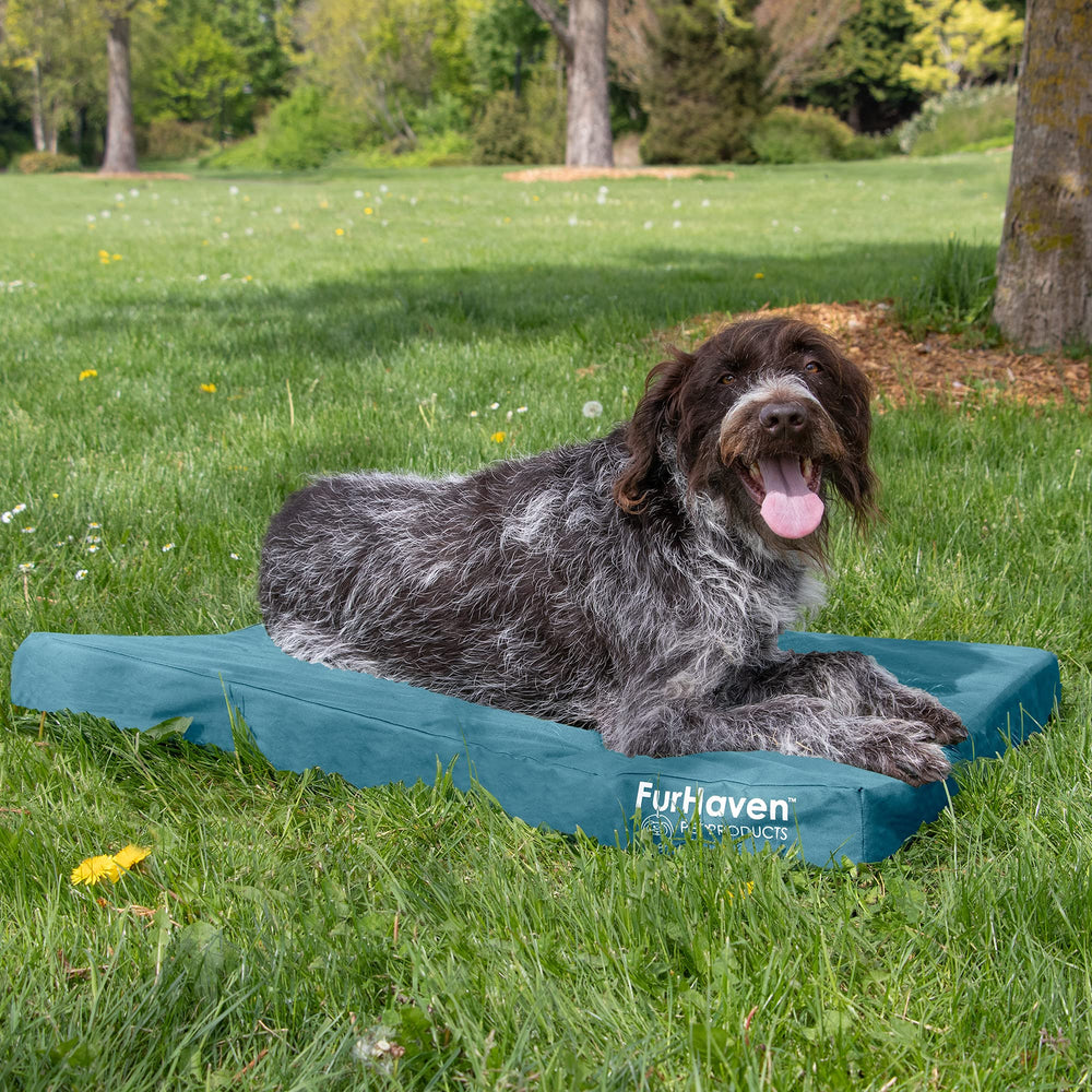 Housse amovible Furhaven imperméable, pratique pour lavage.