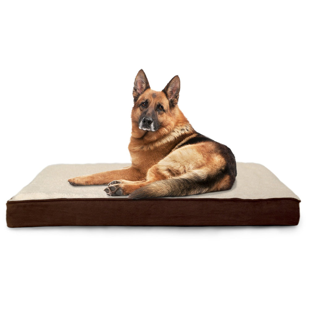 Accès facilité pour chien âgé ou à mobilité réduite avec Furhaven