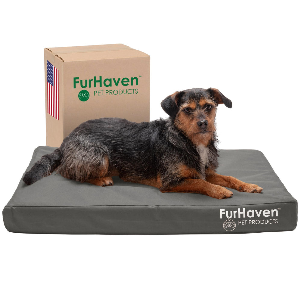 Lit Furhaven avec gel refroidissant et mousse orthopédique pour chiens jusqu'à 16 kg, repos frais