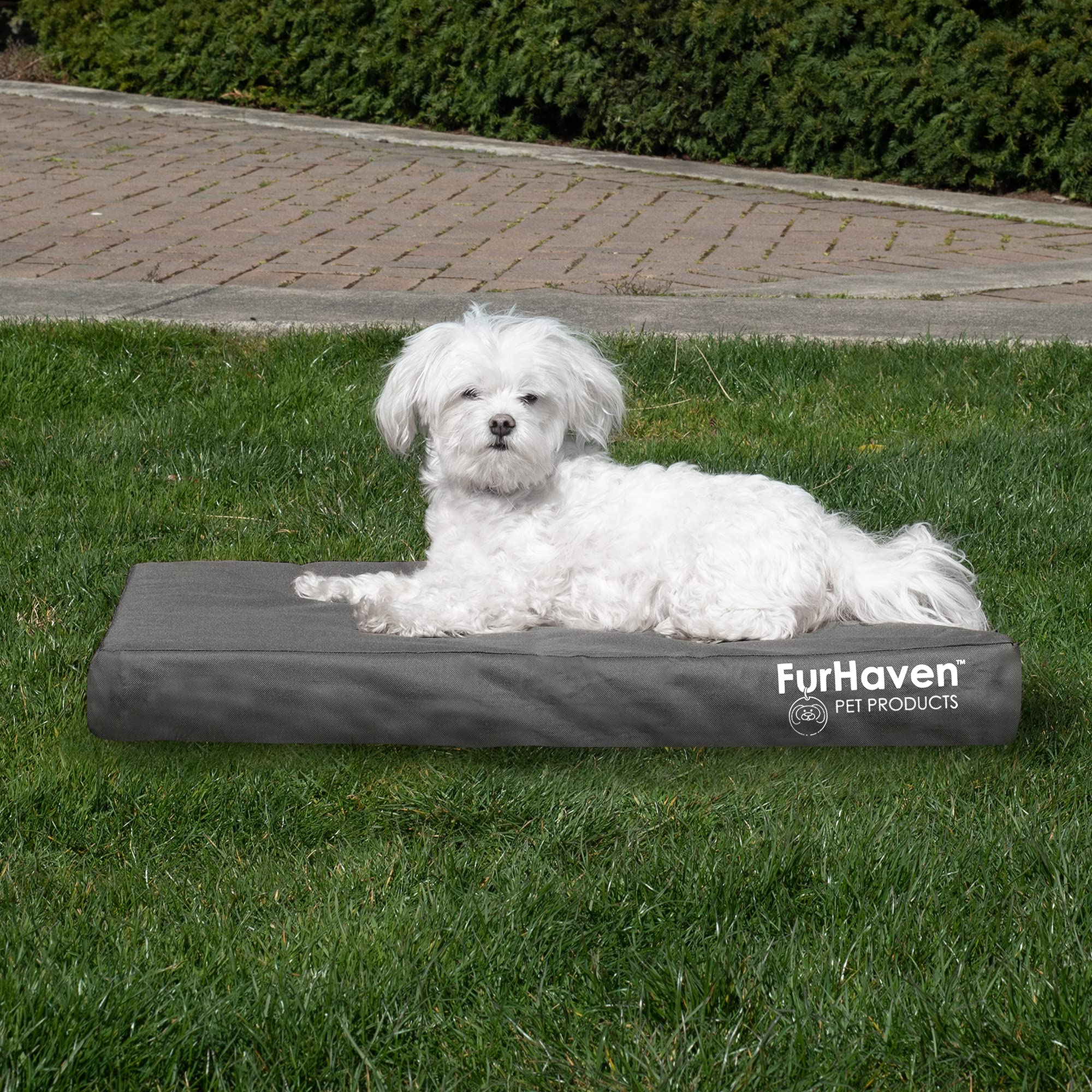 Furhaven lit moyen-petit pour chiens jusqu'à 35 lb, confort orthopédique.