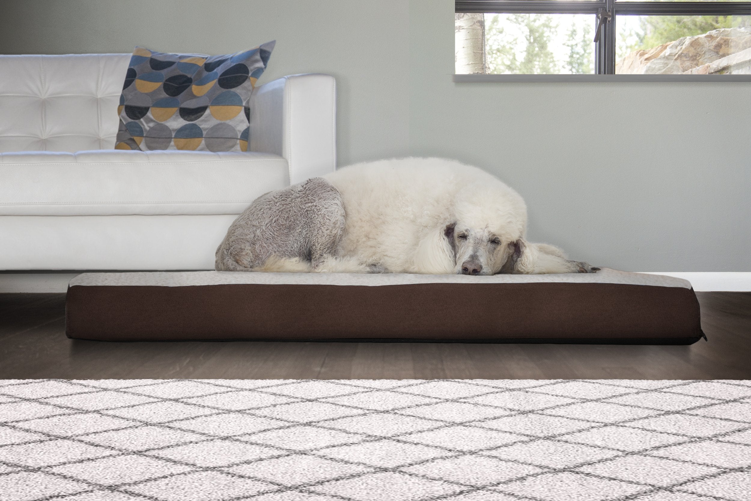 Mousse orthopédique Furhaven soutenant les articulations du chien