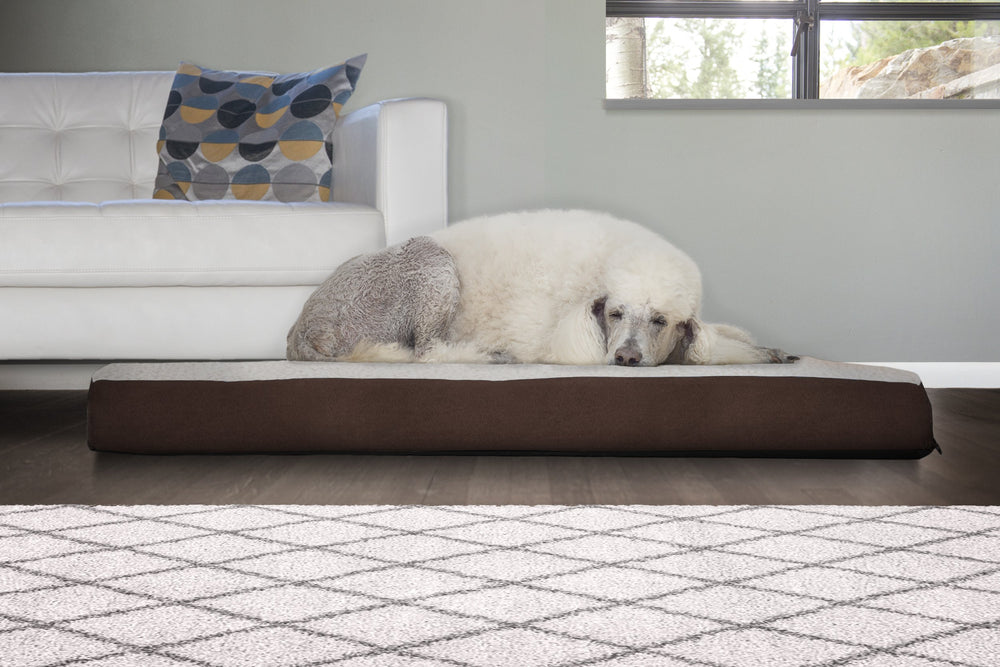 Mousse orthopédique Furhaven soutenant les articulations du chien