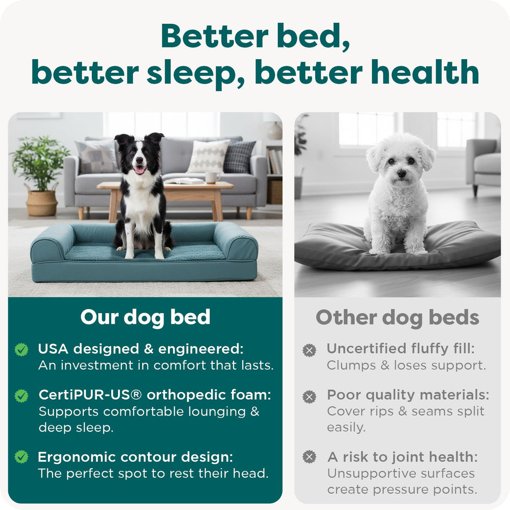 FurHaven lit orthopédique pour grands chiens – mousse haute densité durable.