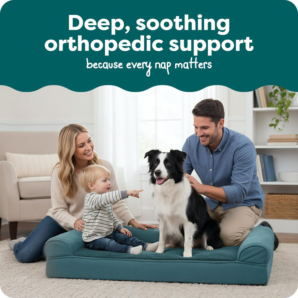 FurHaven lit orthopédique pour grands chiens – tissu plush doux pour confort.