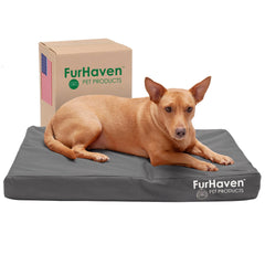 Furhaven lit orthopédique avec housse résistante à l'eau idéale pour l'extérieur.