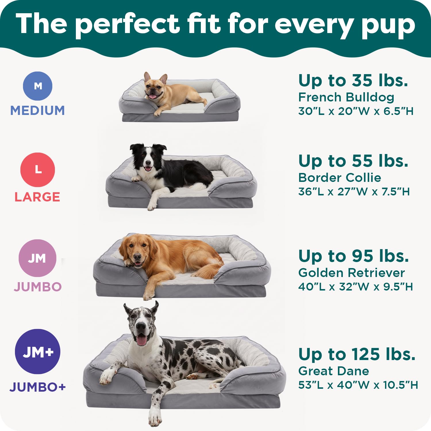 Furhaven taille moyenne adaptée chiens jusqu'à 16 kg.