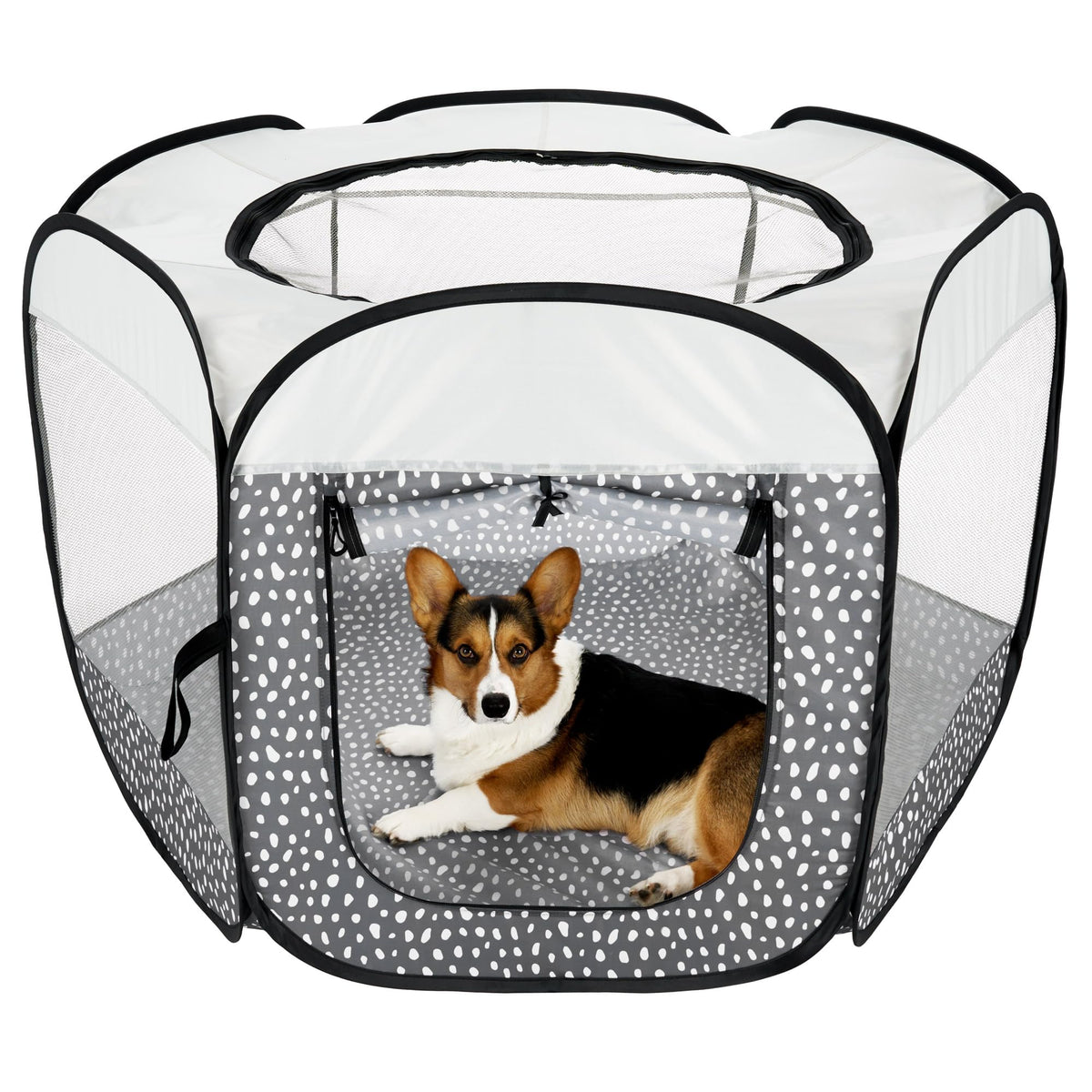 Furhaven tente-jeu pour chiens et chats avec maillage 360 offrant vue dégagée et ventilation.