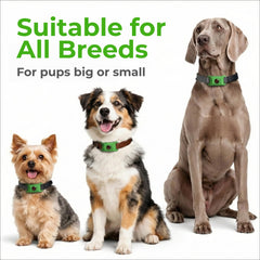 Accessoire FurLife pour collier de chien, imperméable et durable