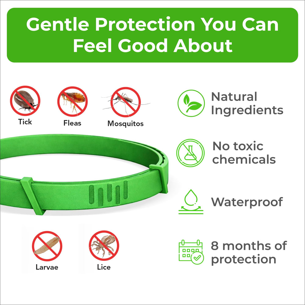 Le FurLife collier-chien huile naturelle offre une protection douce et naturelle.