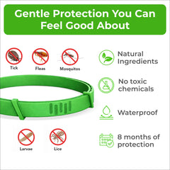 Le FurLife collier-chien huile naturelle offre une protection douce et naturelle.