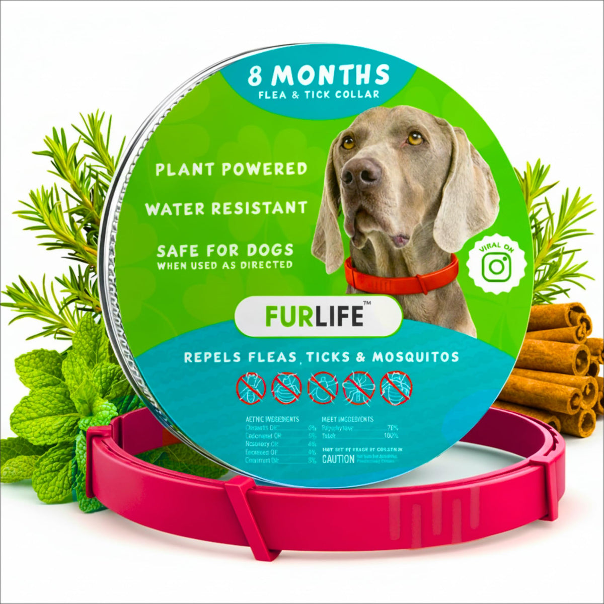Le FurLife collier-chien rouge etanche, vue avant, prêt pour les sorties pluvieuses.