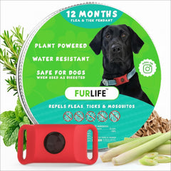 Medaillon FurLife rouge pour chien prêt à attacher au collier.