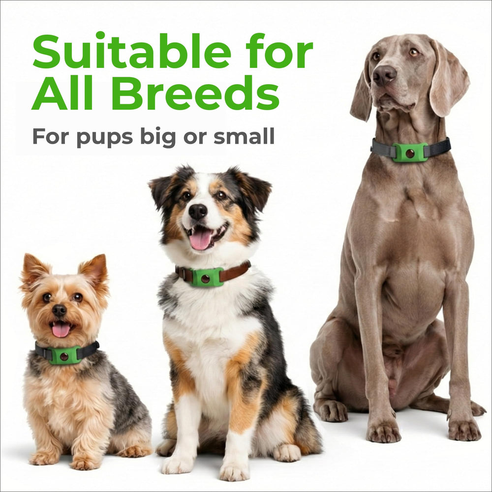 Medaillon FurLife sans produits chimiques pour un usage quotidien.