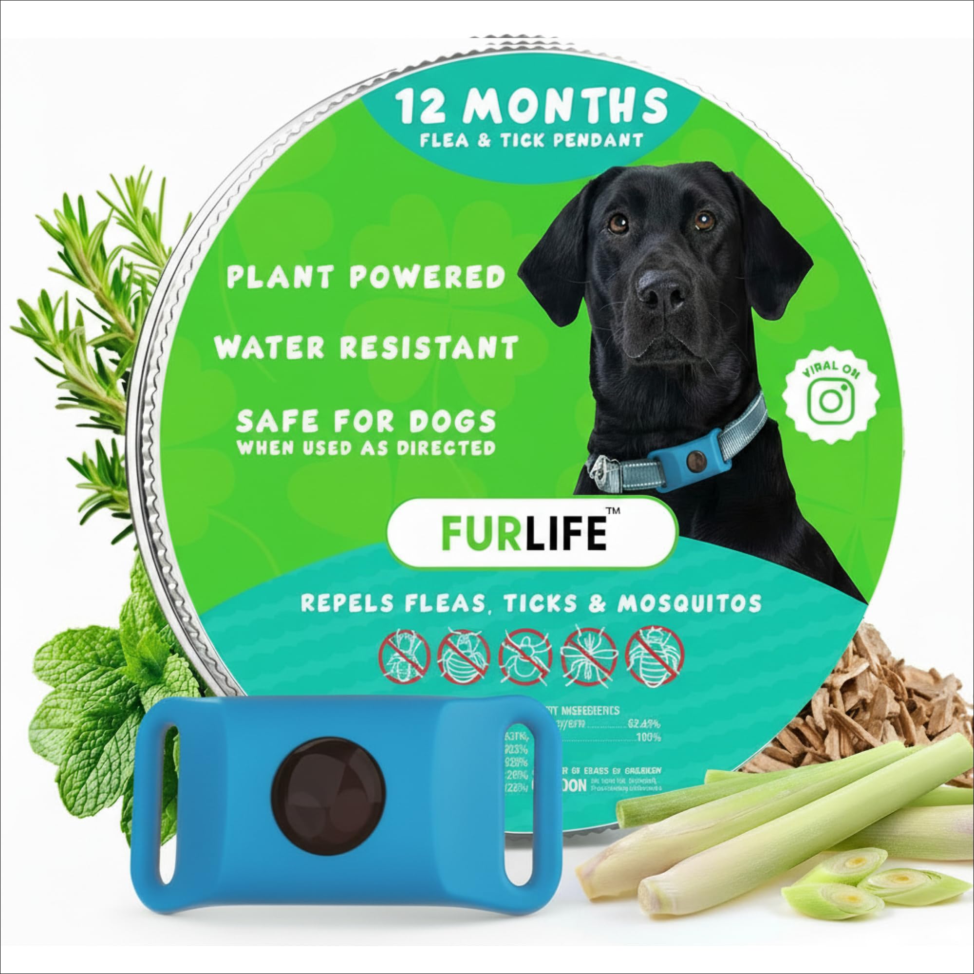 Pendentif FurLife bleu prêt à être attaché au collier du chien, facile à installer
