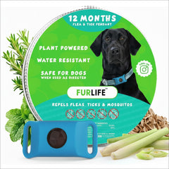 Pendentif FurLife bleu prêt à être attaché au collier du chien, facile à installer