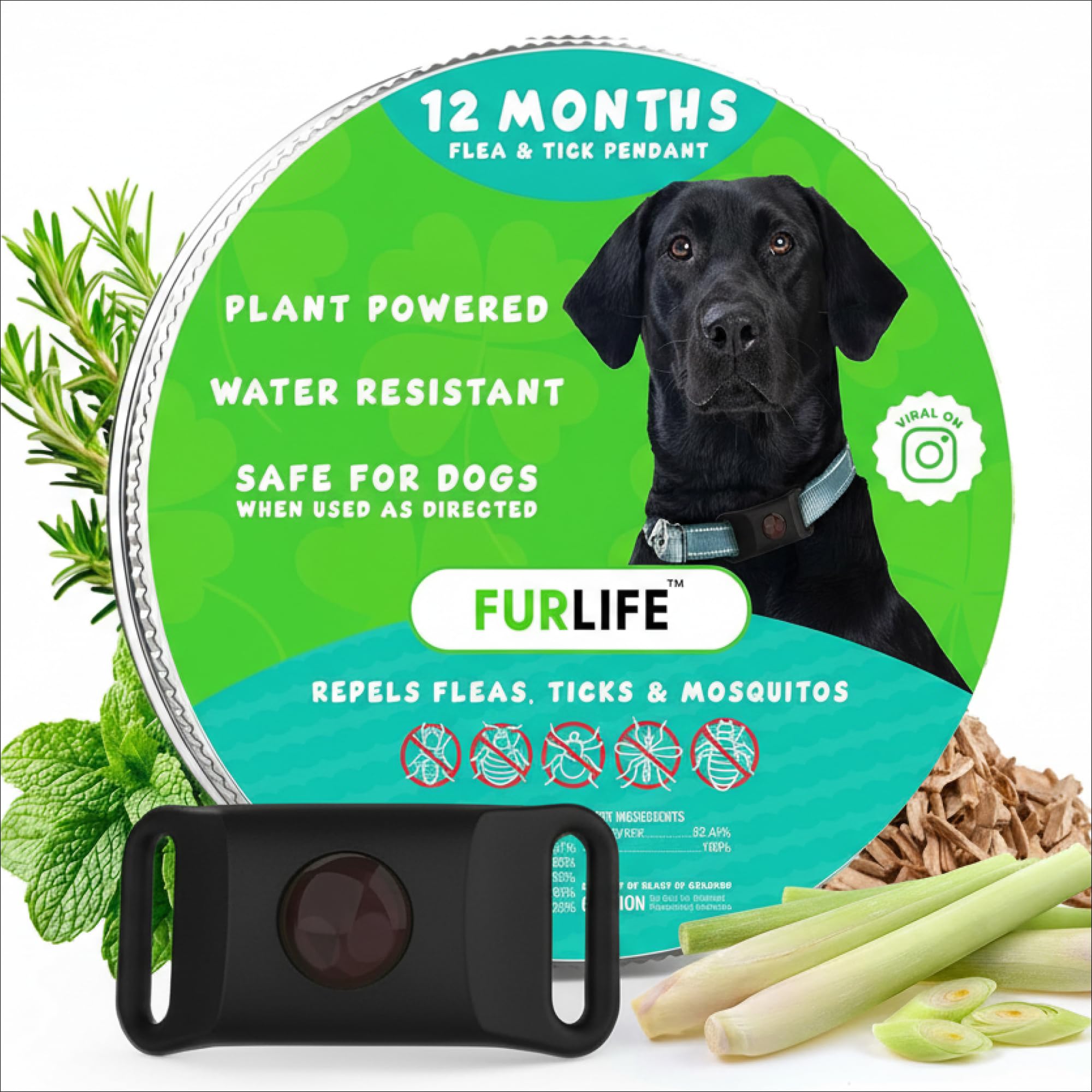 FurLife tag-chien imperméable attaché au collier, utilisation quotidienne