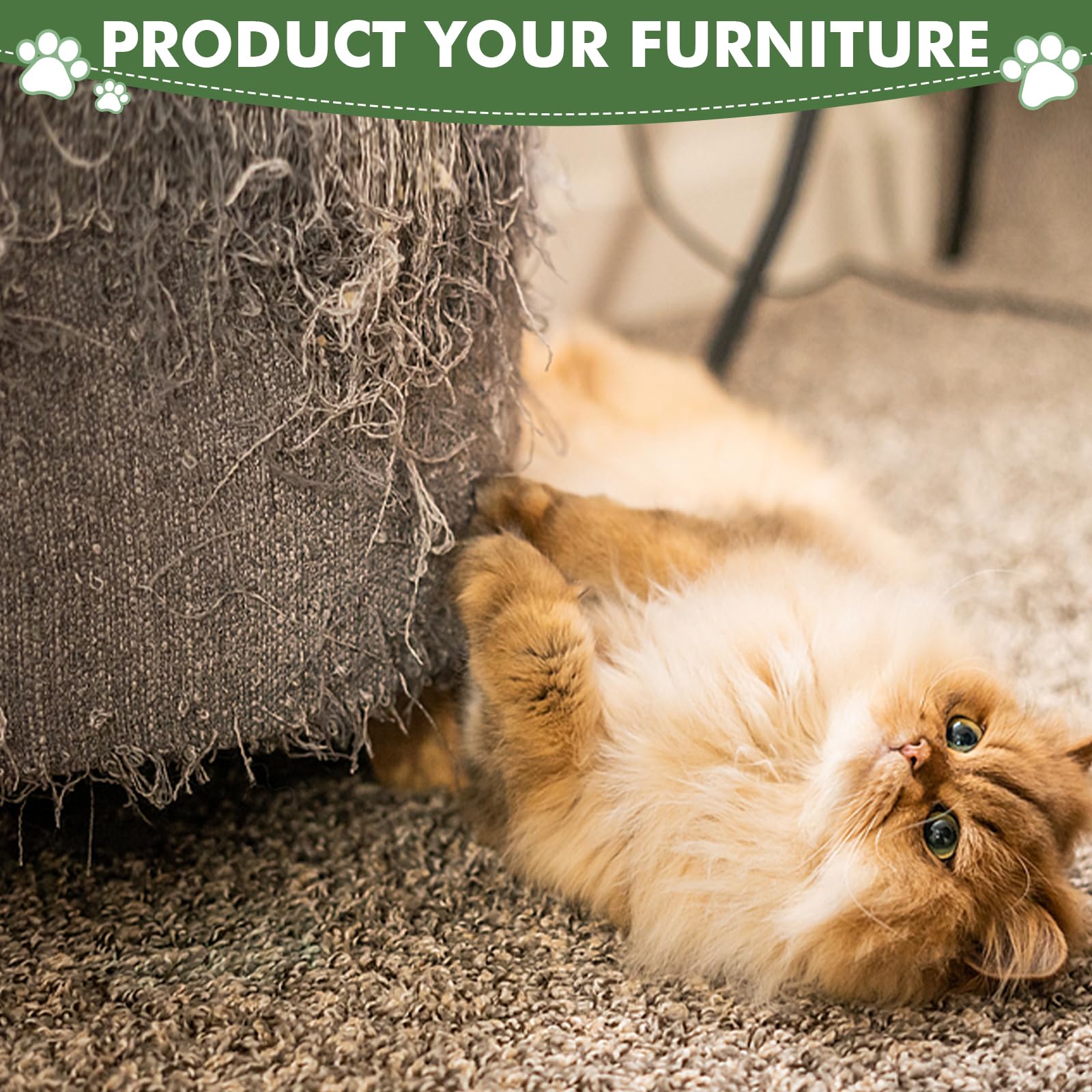 Idéal pour l'intérieur, chats adultes et chatons Furlogy.