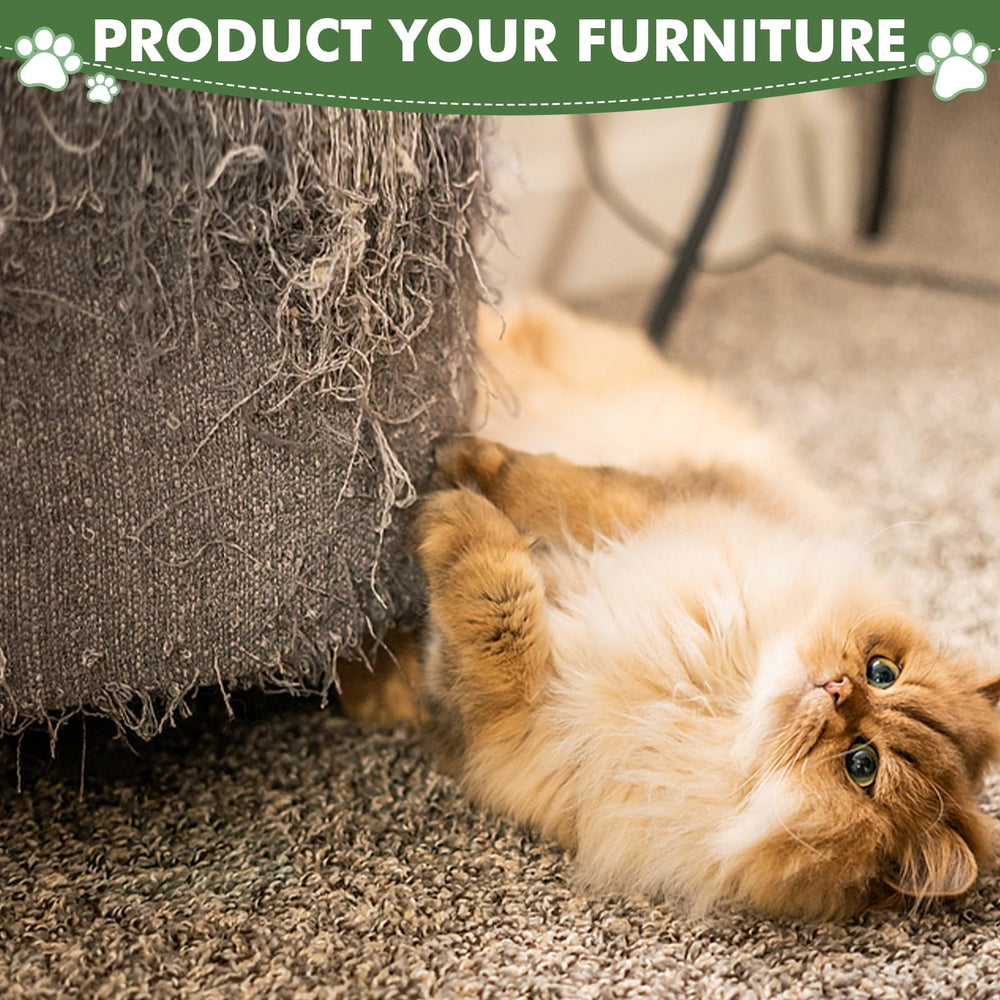 Idéal pour l'intérieur, chats adultes et chatons Furlogy.