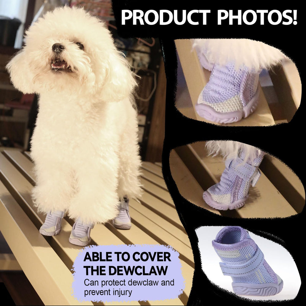 Furmate chaussures pattes violet: couleur tendance et protection pour les balades.