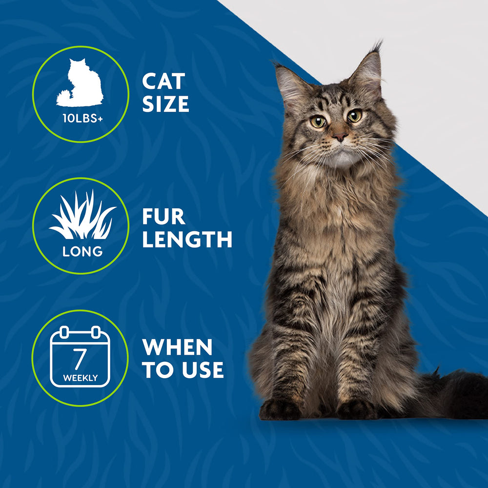 Chat en toilettage à domicile avec FURminator