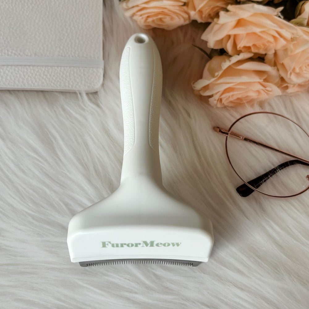 FurorMeow: taille grande pour chiens de petite taille