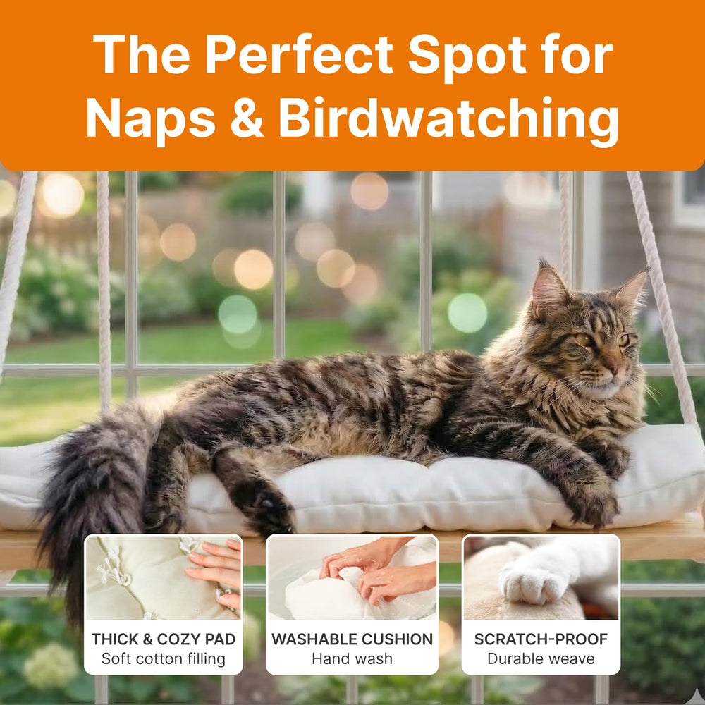 Coussin doux et grand Furrfinity pour un repos moelleux du chat.