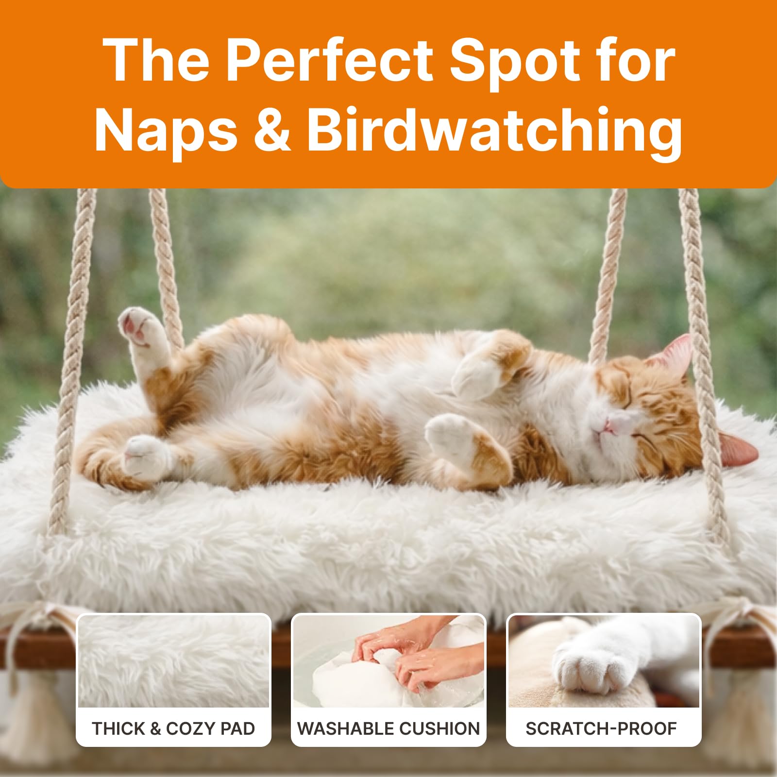 Capacité de 42 lb démontrée, sécurité renforcée pour chats actifs.