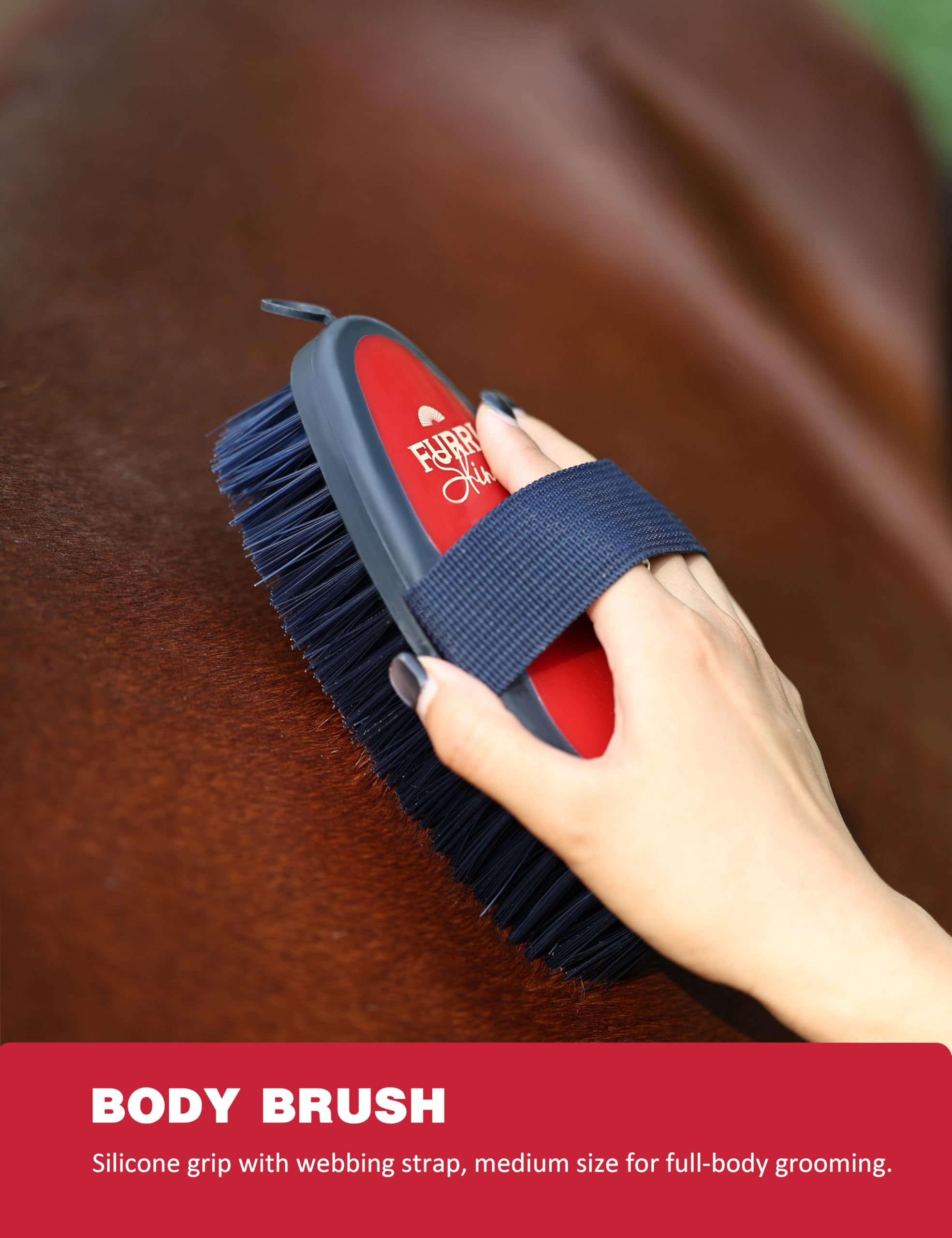 Furrishine brosse-finition-poil-brillant – pelage lisse et brillant après lavage