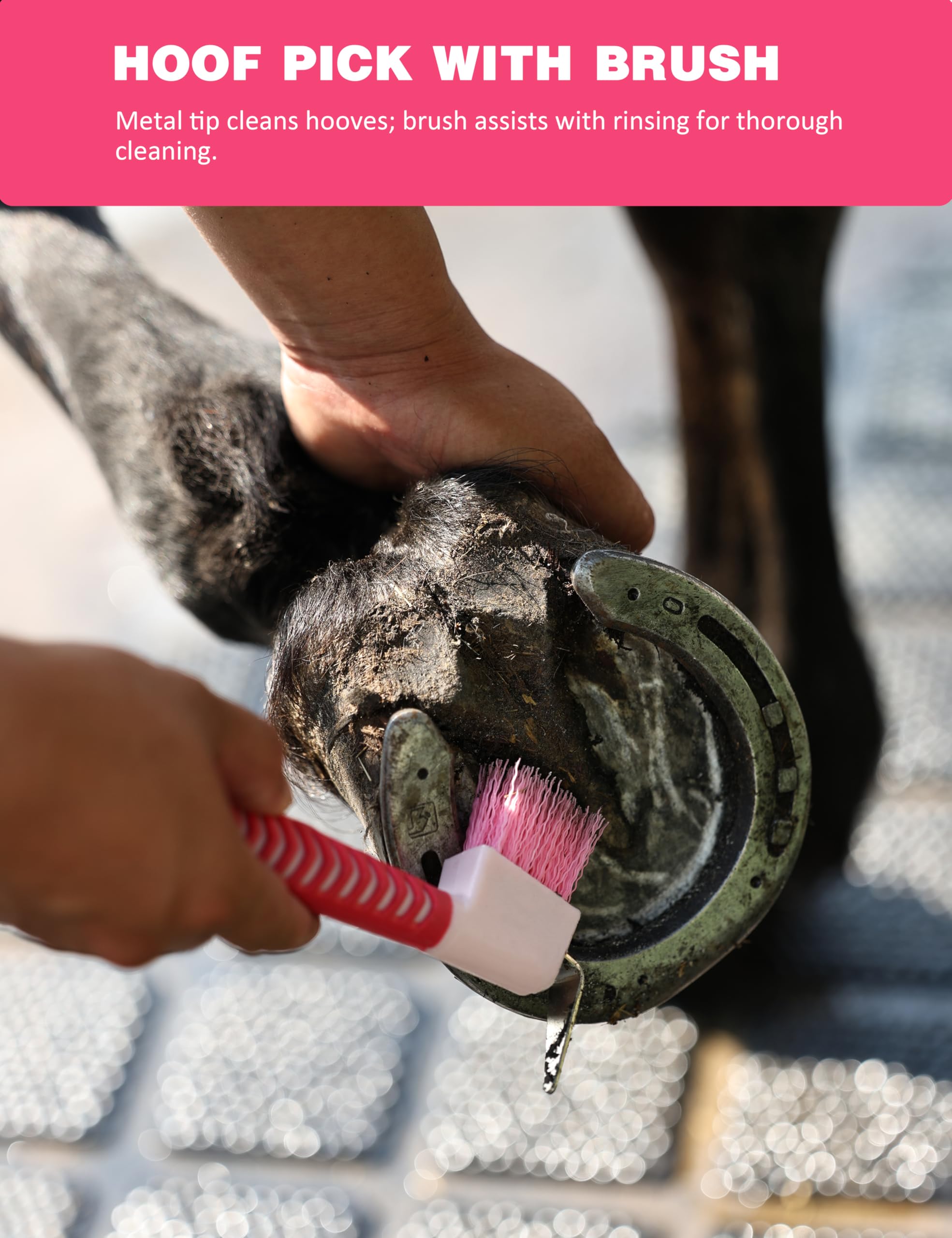 Brosse nettoyage rapide Furrishine sèche rapidement après usage.