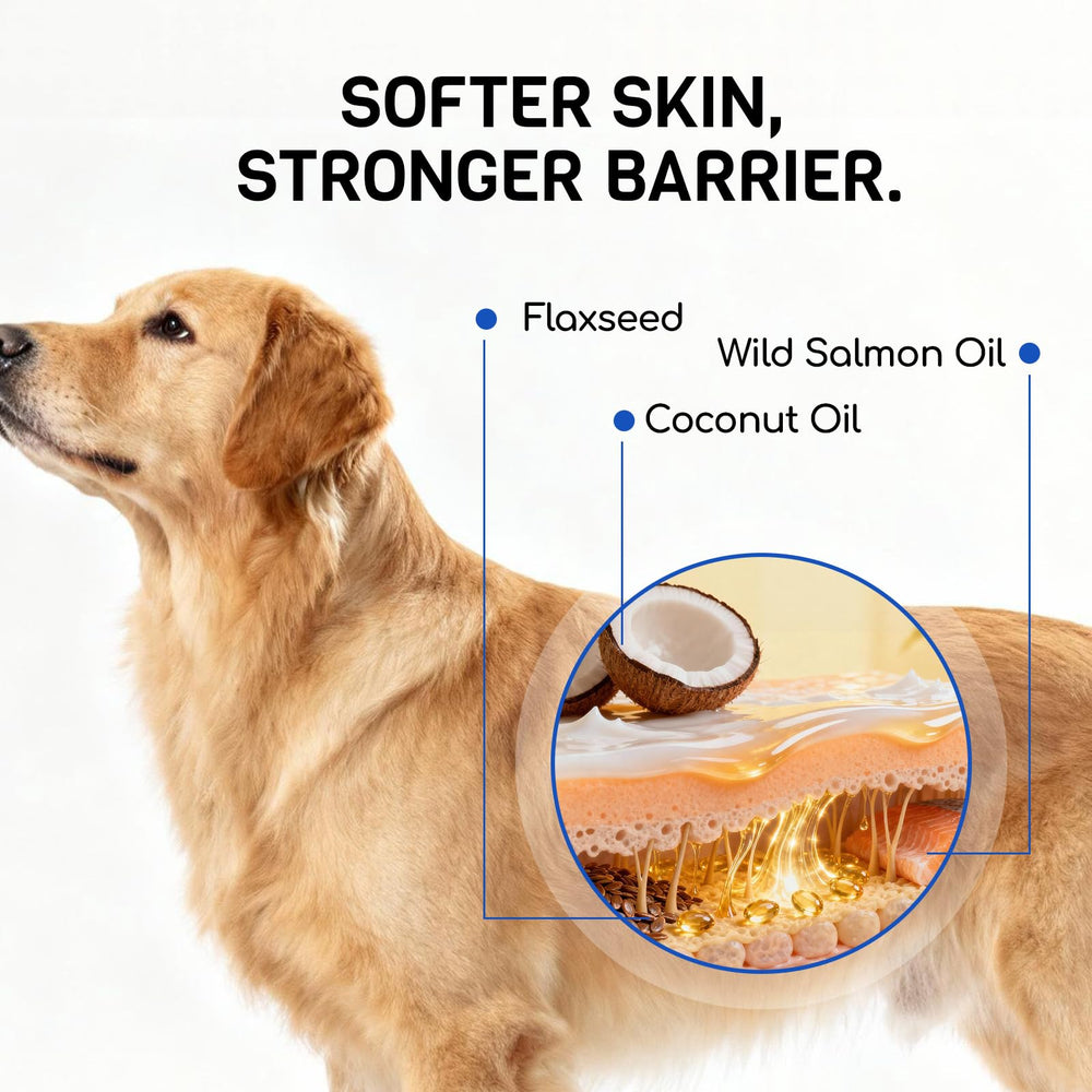 Furry Armor, immunité interne potentielle pour chien.