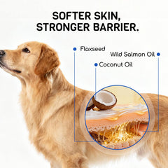 Furry Armor, immunité interne potentielle pour chien.