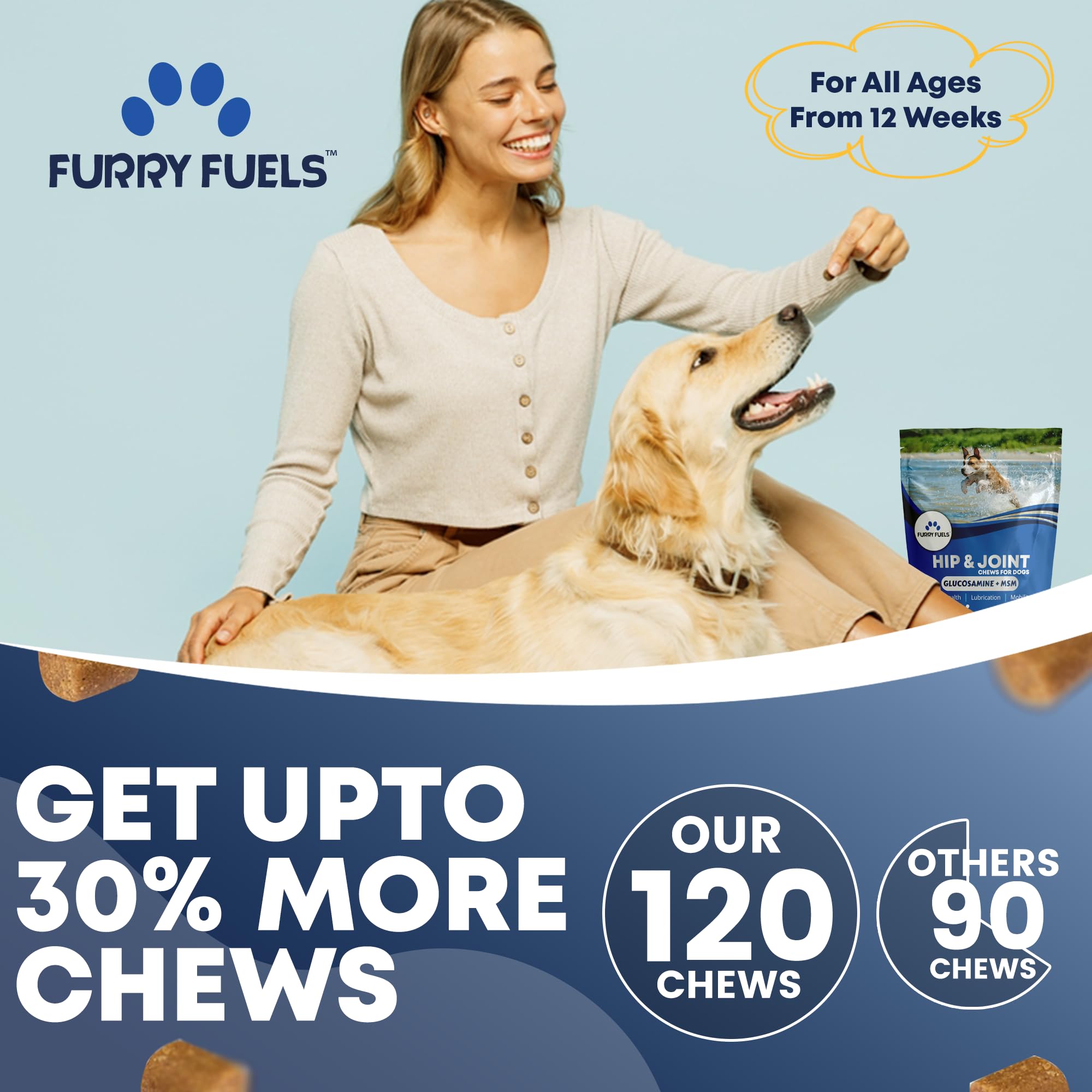 Chien senior avec Furry Fuels — confort et mobilité au quotidien.