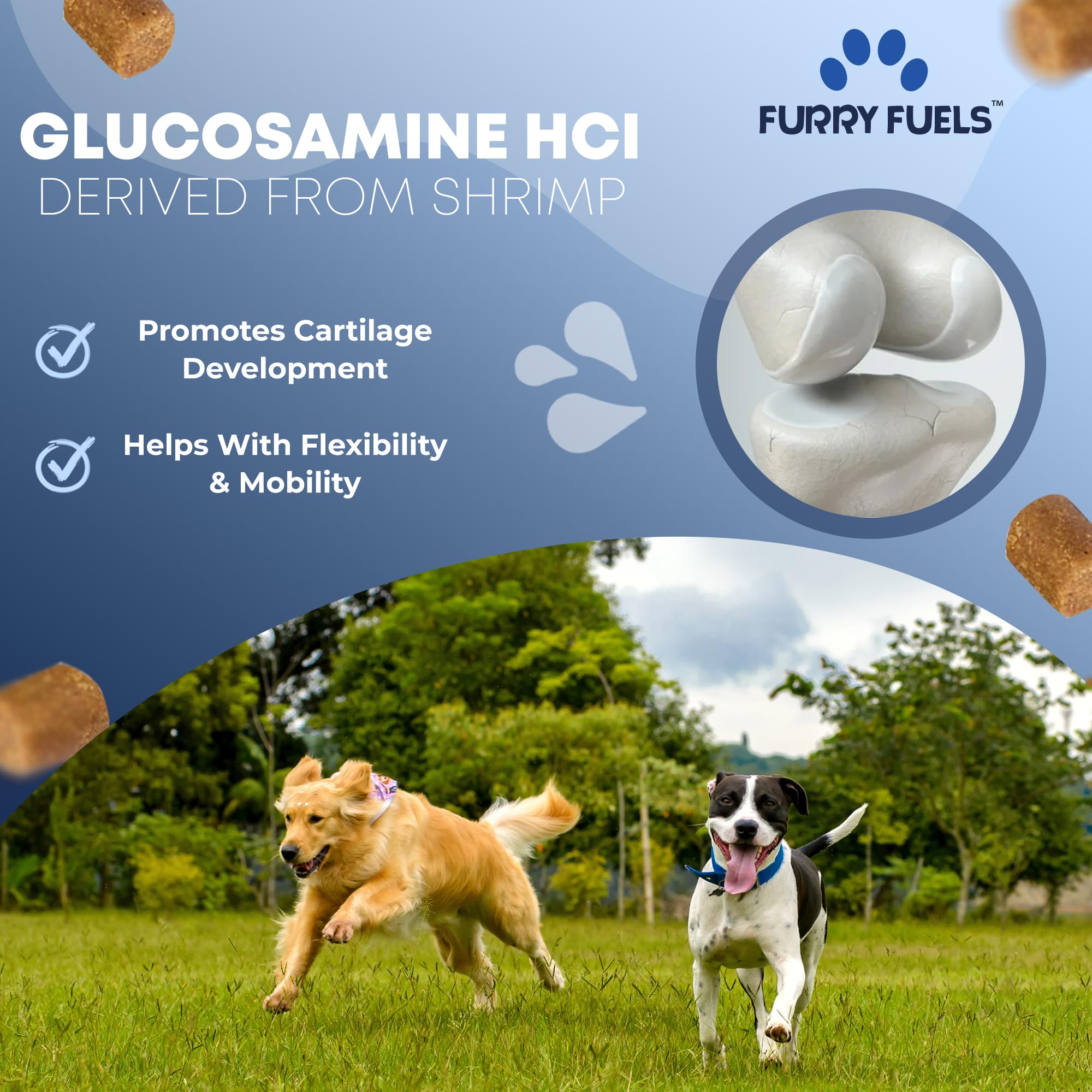 Chiens de tailles variées — Furry Fuels pour articulations adaptables.