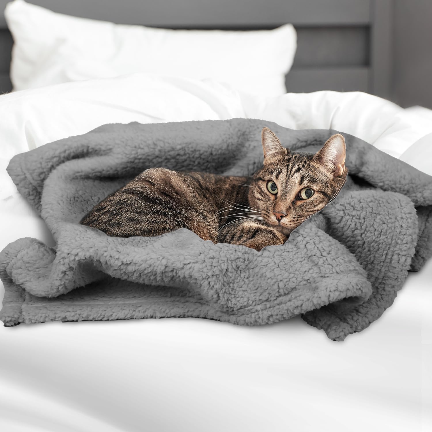 Furrybaby lavable machine gris 24x32 reste moelleuse après lavage fréquent.