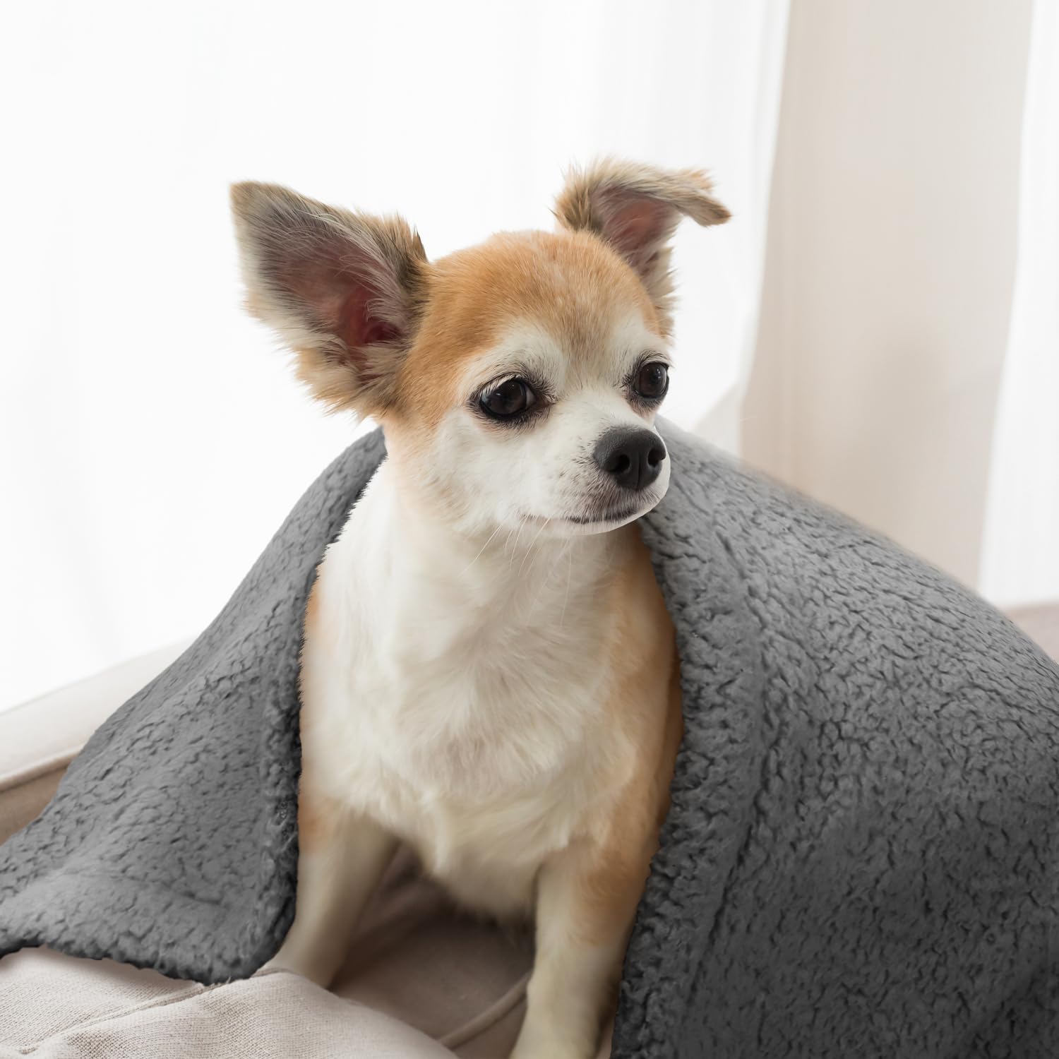 Lavage en machine furrybaby, entretien facile et durable.