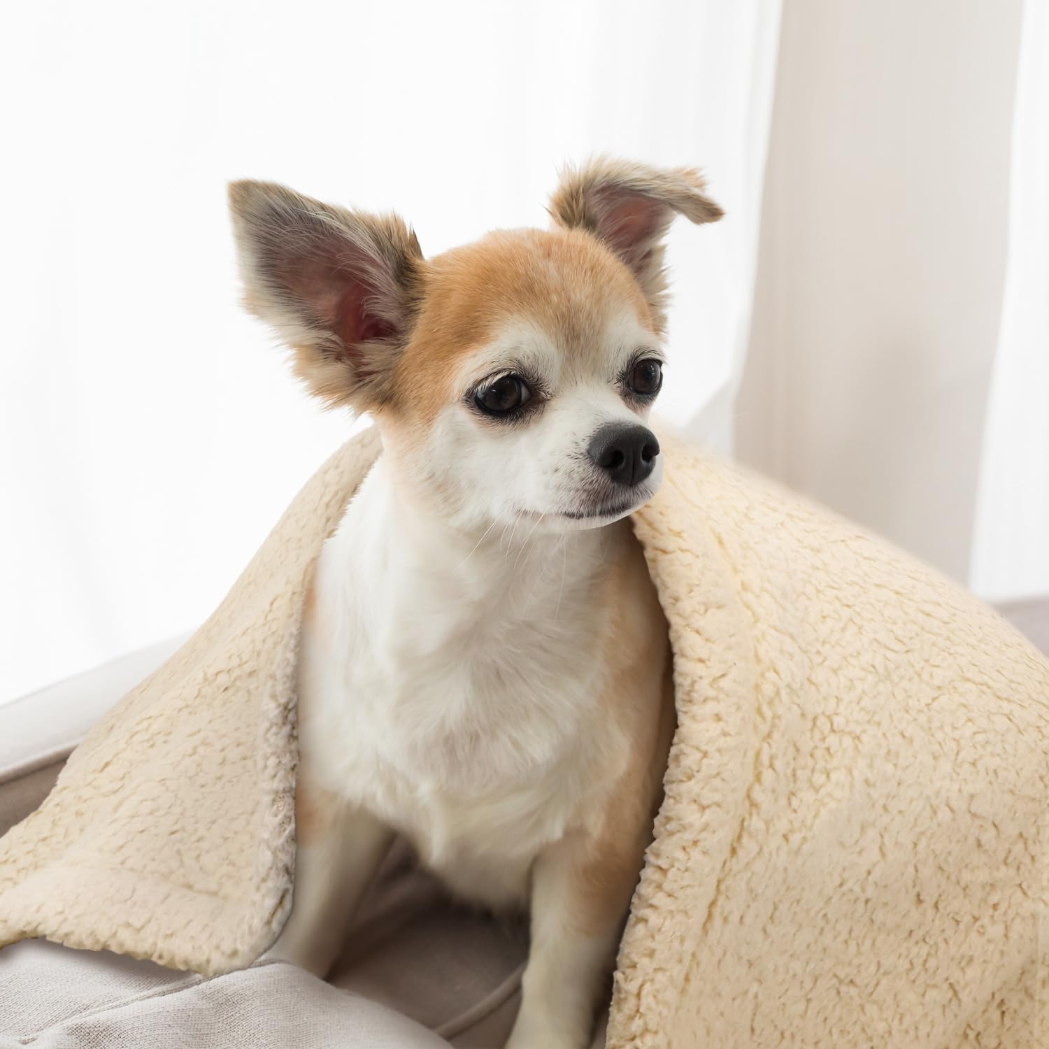 Furrybaby couverture protège les meubles et garde sa douceur après lavage.