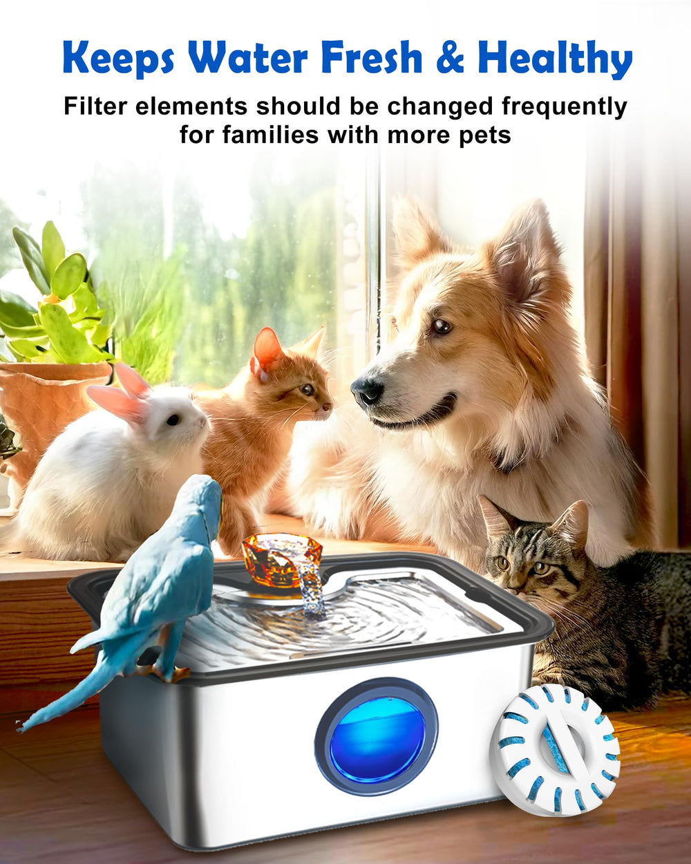 FurryPlanet kit entretien simple rinçage quotidien et remplacement facile.