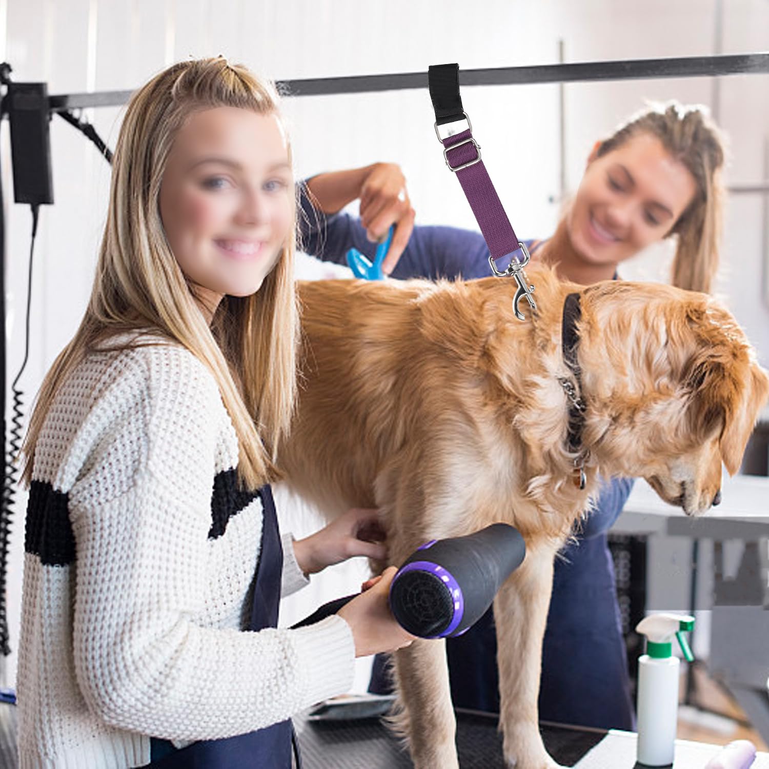 FURSDOLY bande de retenue pour toilettage, sécurité renforcée.