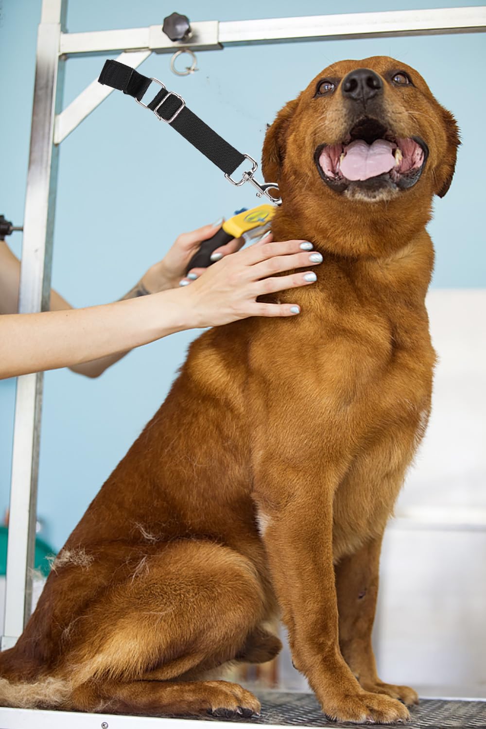 FURSDOLY clip-rotation-360-grooming: clip pivotant pour repositionner facilement le chien.
