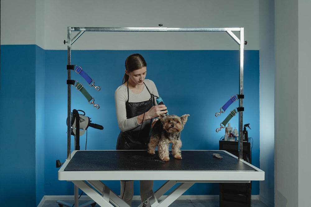 FURSDOLY hauteur-reglable-bras-table: ajuste facilement la hauteur pour différentes zones de travail.