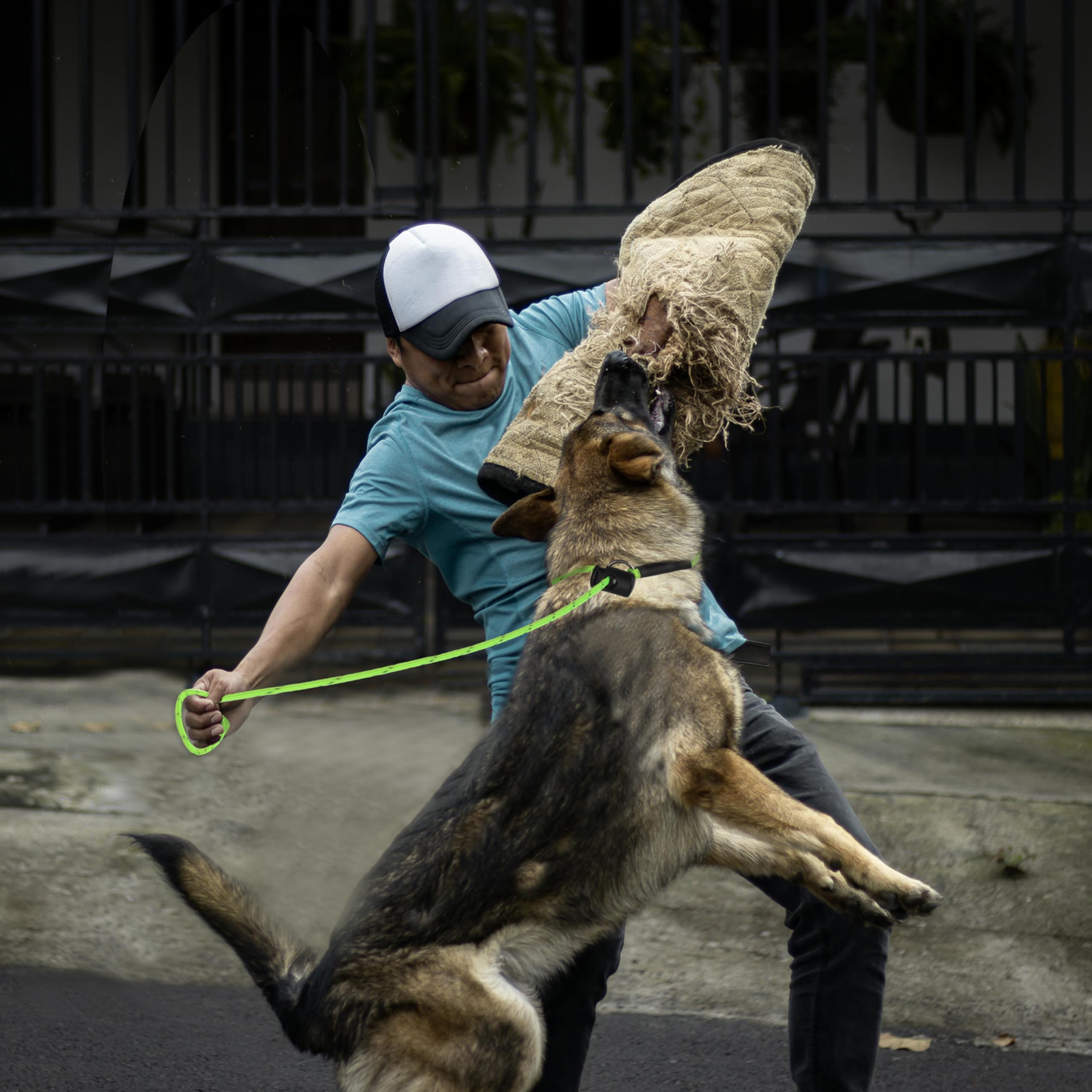 Laisse-slip FURSDOLY: visuel nocturne et contrôle fiable pour chiens moyens.