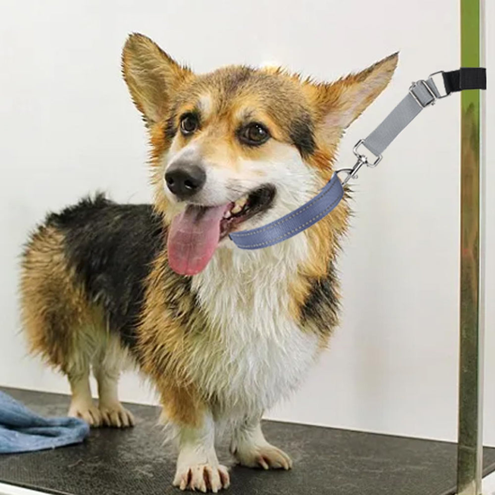 FURSDOLY reglages-hauteur ajustable, s’adapte à la taille du chien.