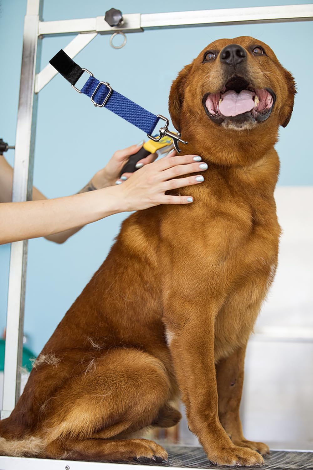 FURSDOLY usage polyvalent en salon ou à domicile, outil pratique.