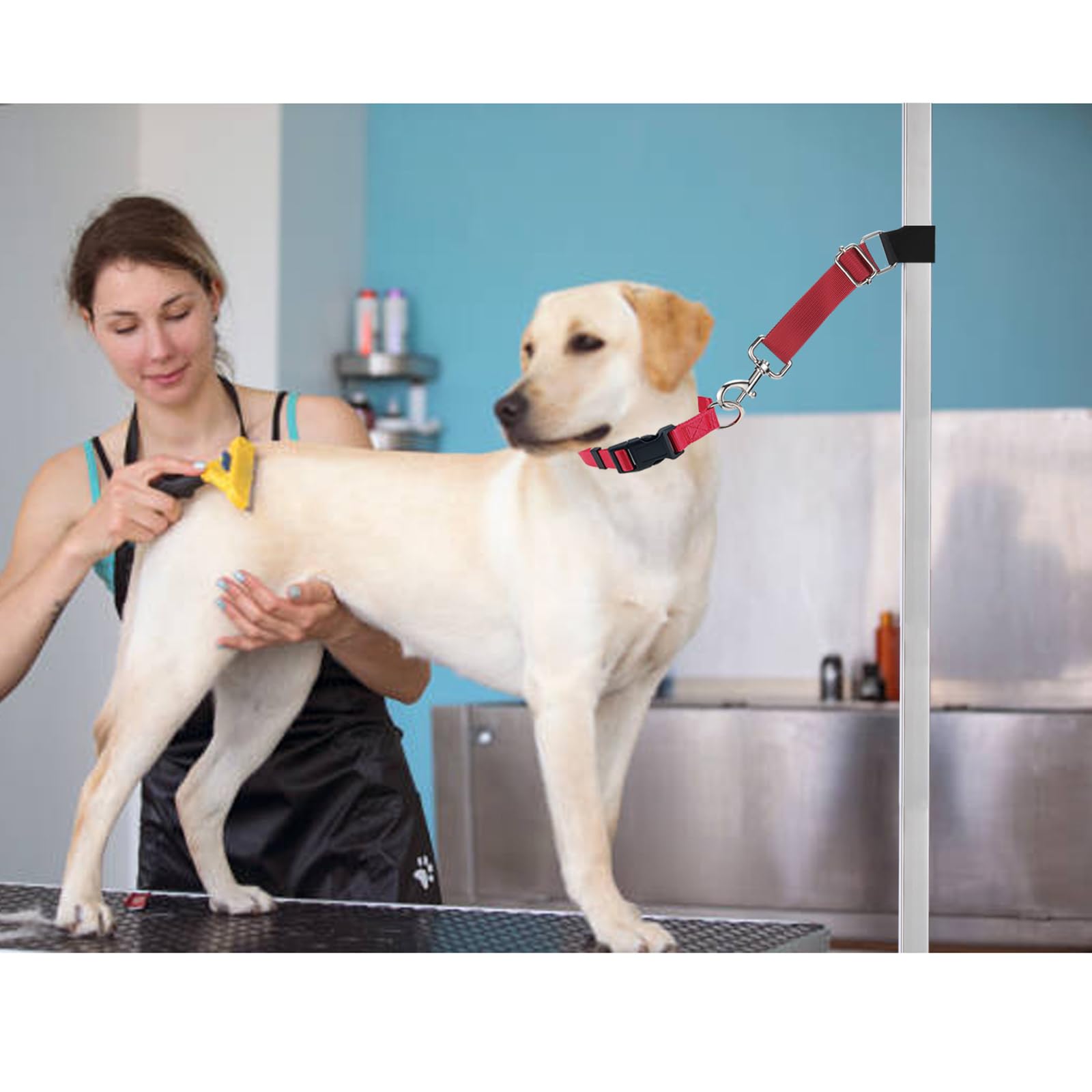 FURSDOLY utilisation en clinique table toilettage, pratique et polyvalente.