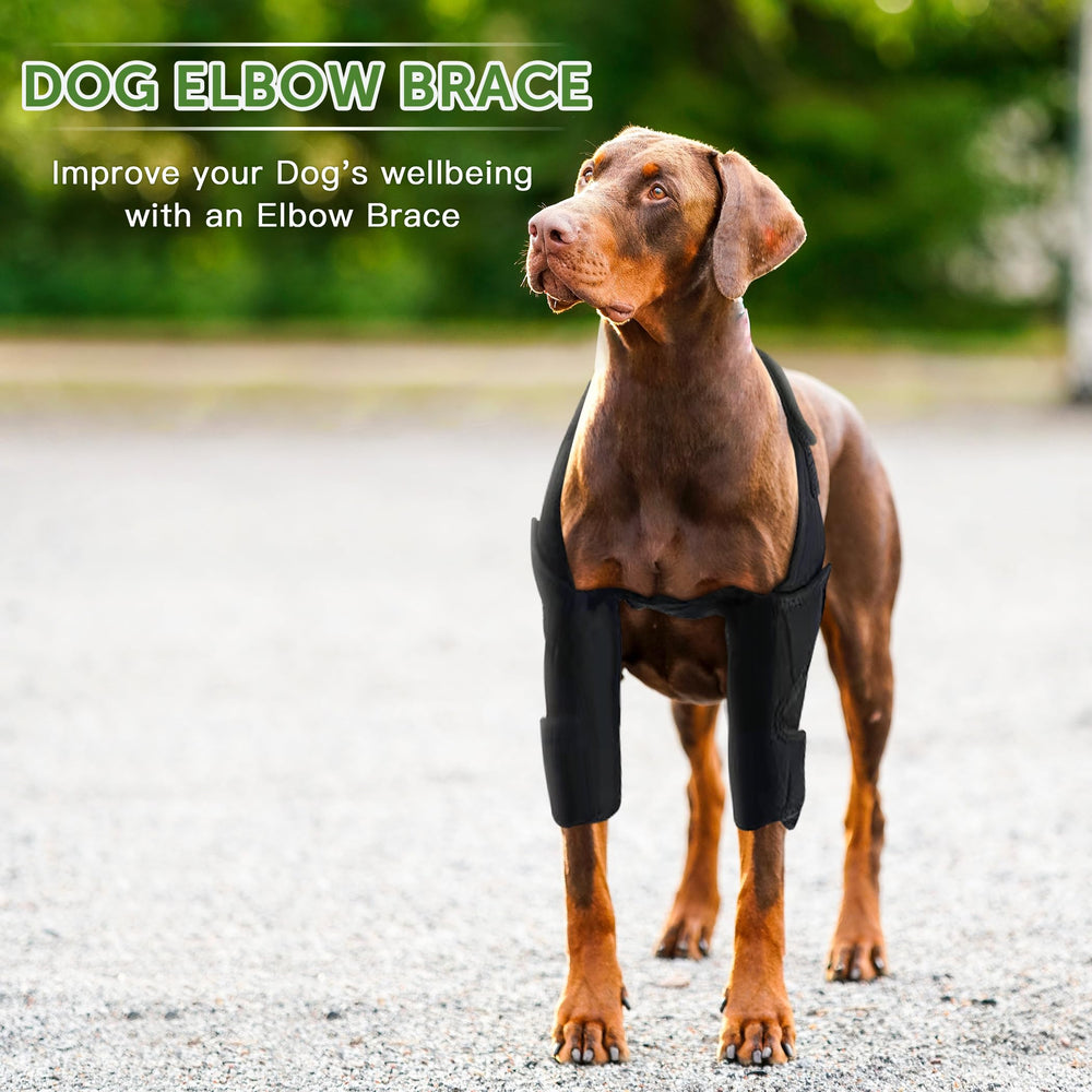 Furtent attelle-coude pour chien, stabilisation et mobilite pendant les activites.